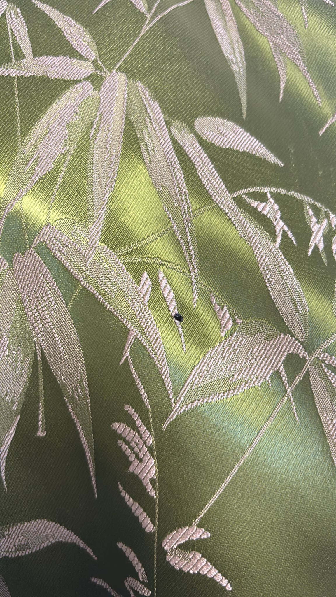 STUDIO PIECE ⚡Veste Palm vert n°1