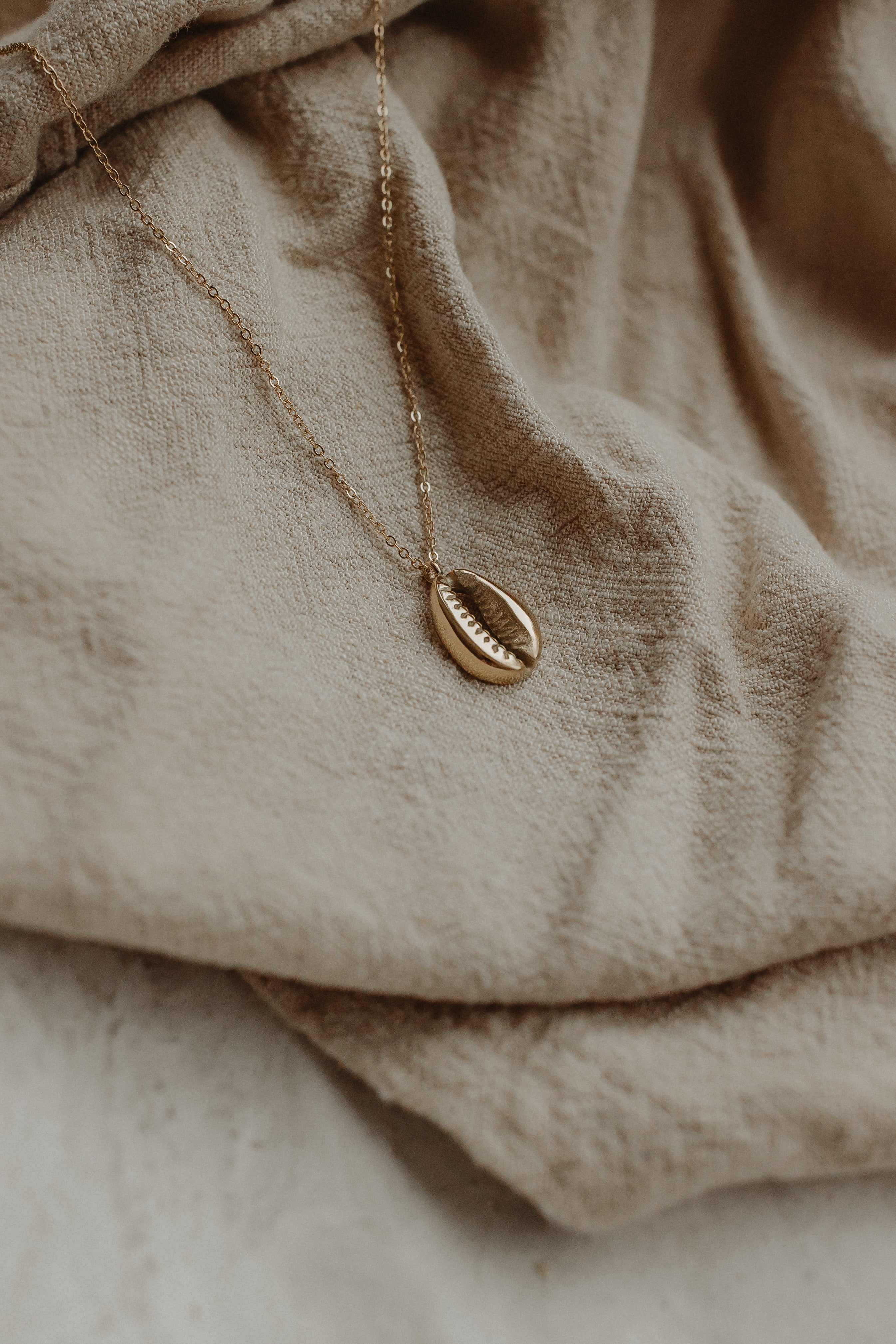 Collier coquillage