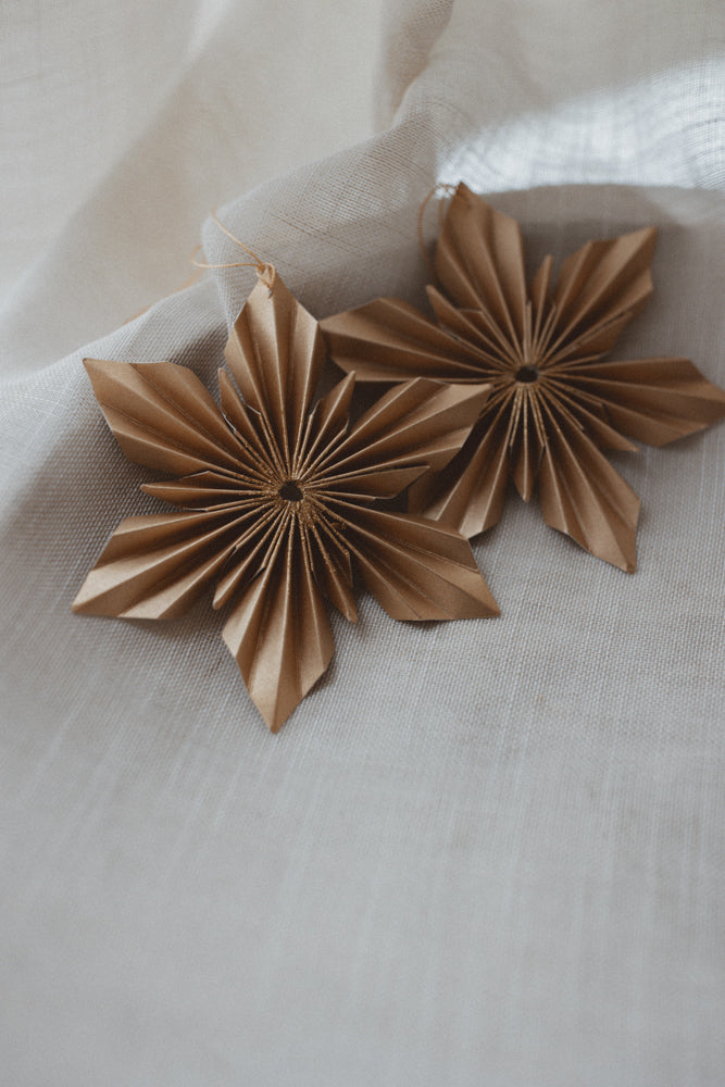 Snowflake model Snow