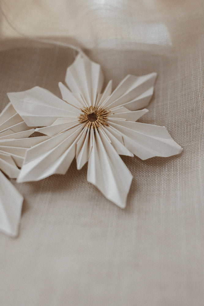 Snowflake model Snow