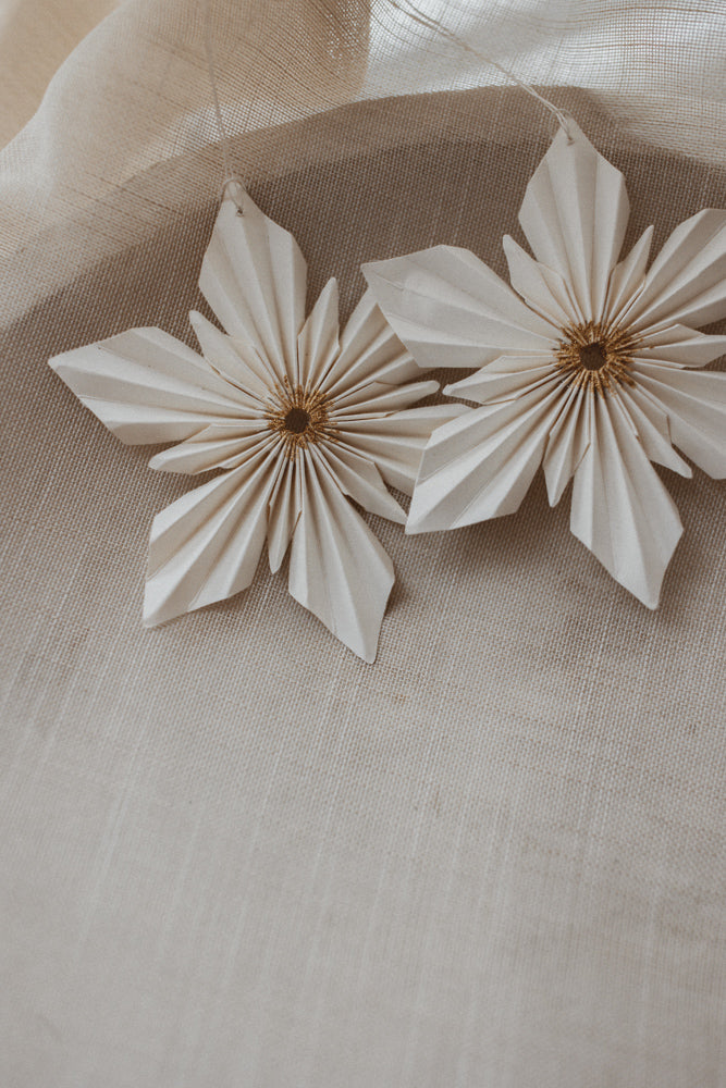 Snowflake model Snow