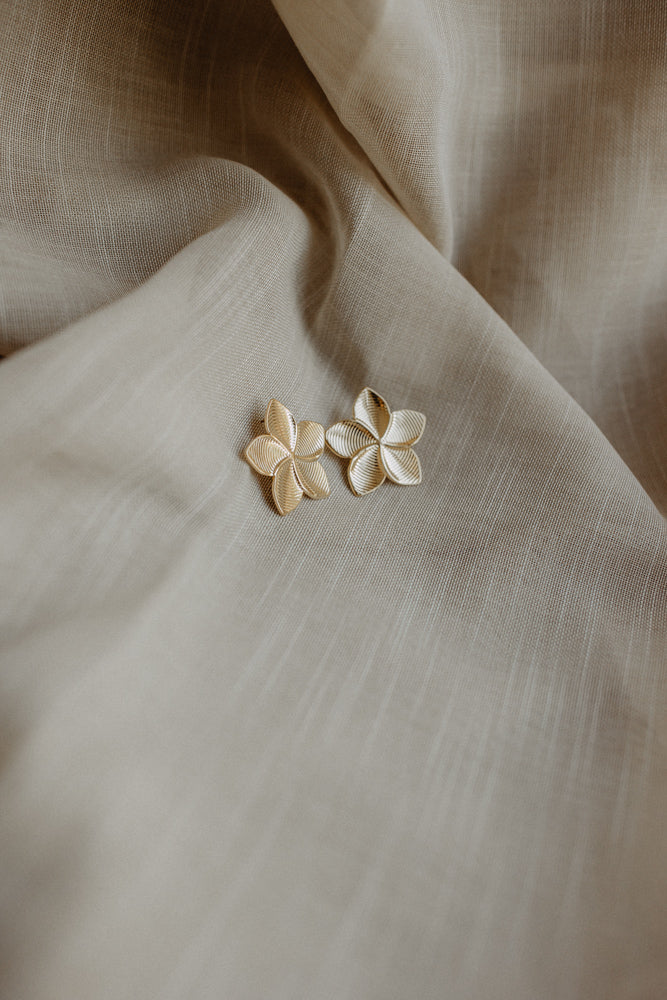 Earring Suze